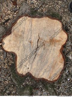 Photo Textures of Wood